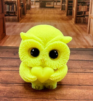 Owl with the heart